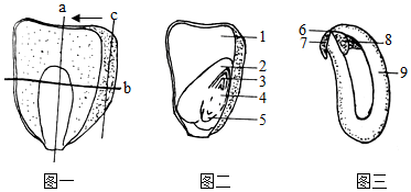 菁優(yōu)網