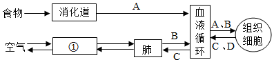 菁優(yōu)網(wǎng)