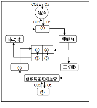 气体交换的原理是什么的作用_o2是什么气体(2)