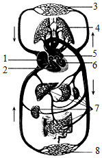 菁優(yōu)網(wǎng)