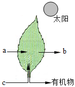 菁優(yōu)網(wǎng)