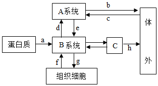 菁優(yōu)網(wǎng)