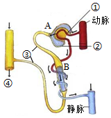 菁優(yōu)網(wǎng)