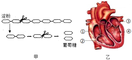 菁優(yōu)網(wǎng)