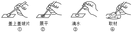 菁優(yōu)網(wǎng)