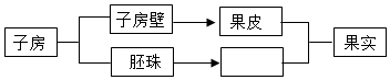 菁優(yōu)網