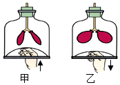 菁優(yōu)網