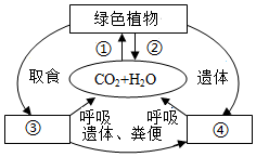 菁優(yōu)網(wǎng)