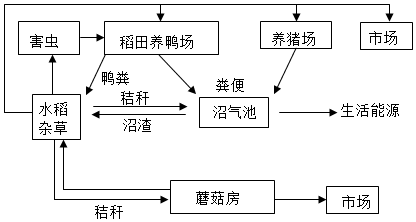 菁優(yōu)網