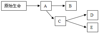 菁優(yōu)網(wǎng)