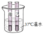 菁優(yōu)網