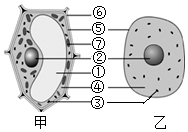 菁優(yōu)網(wǎng)