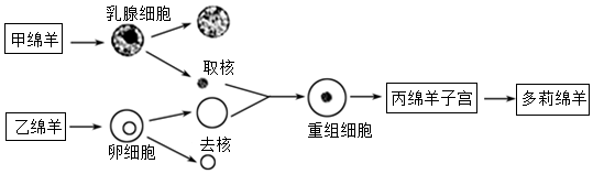 菁優(yōu)網