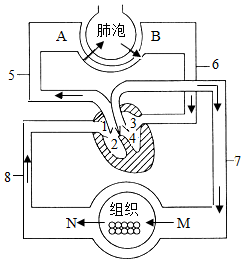 菁優(yōu)網(wǎng)