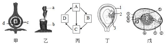 菁優(yōu)網(wǎng)