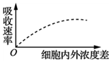 菁優(yōu)網