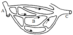 菁優(yōu)網(wǎng)