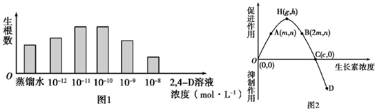 菁優(yōu)網