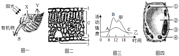 菁優(yōu)網(wǎng)