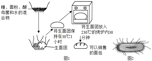 菁優(yōu)網