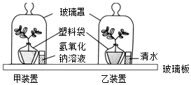 有什么方法可以减少身体对铅的吸收 946b3c1f.png