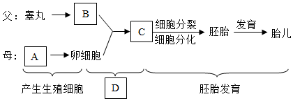 菁優(yōu)網