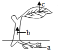 菁優(yōu)網(wǎng)