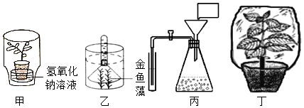 菁優(yōu)網(wǎng)