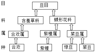 菁優(yōu)網