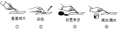 菁優(yōu)網(wǎng)