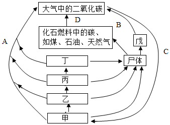 菁優(yōu)網(wǎng)