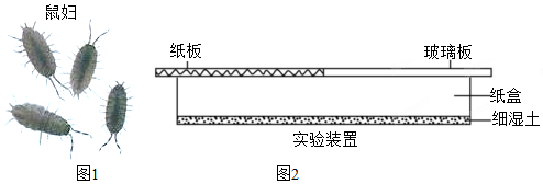 菁優(yōu)網