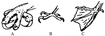 菁優(yōu)網(wǎng)