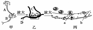 菁優(yōu)網(wǎng)