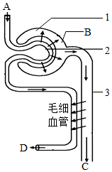 菁優(yōu)網(wǎng)