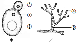 菁優(yōu)網(wǎng)