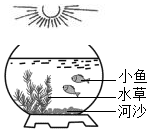 菁優(yōu)網(wǎng)