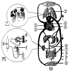 菁優(yōu)網(wǎng)