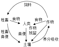 菁優(yōu)網