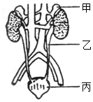 菁優(yōu)網(wǎng)