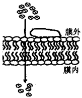 菁優(yōu)網(wǎng)