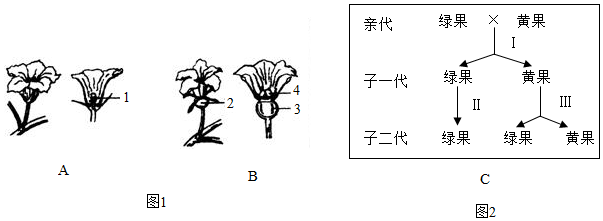 菁優(yōu)網