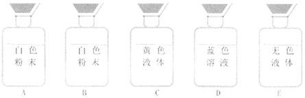 菁优网