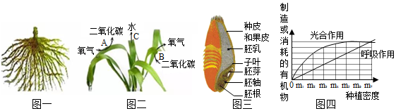 菁優(yōu)網