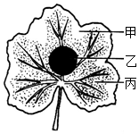 菁優(yōu)網(wǎng)