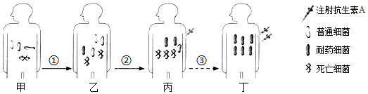 菁優(yōu)網