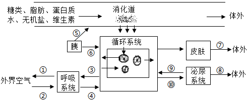 菁優(yōu)網(wǎng)