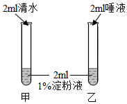 菁優(yōu)網