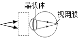 菁優(yōu)網(wǎng)