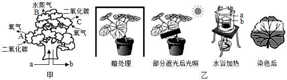 菁優(yōu)網(wǎng)